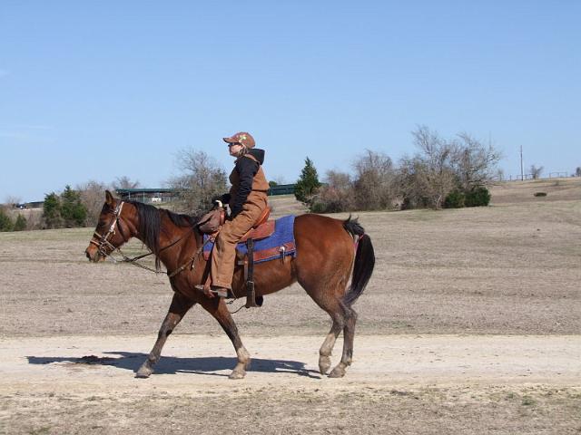 064-Woman on Bay Horse.jpg